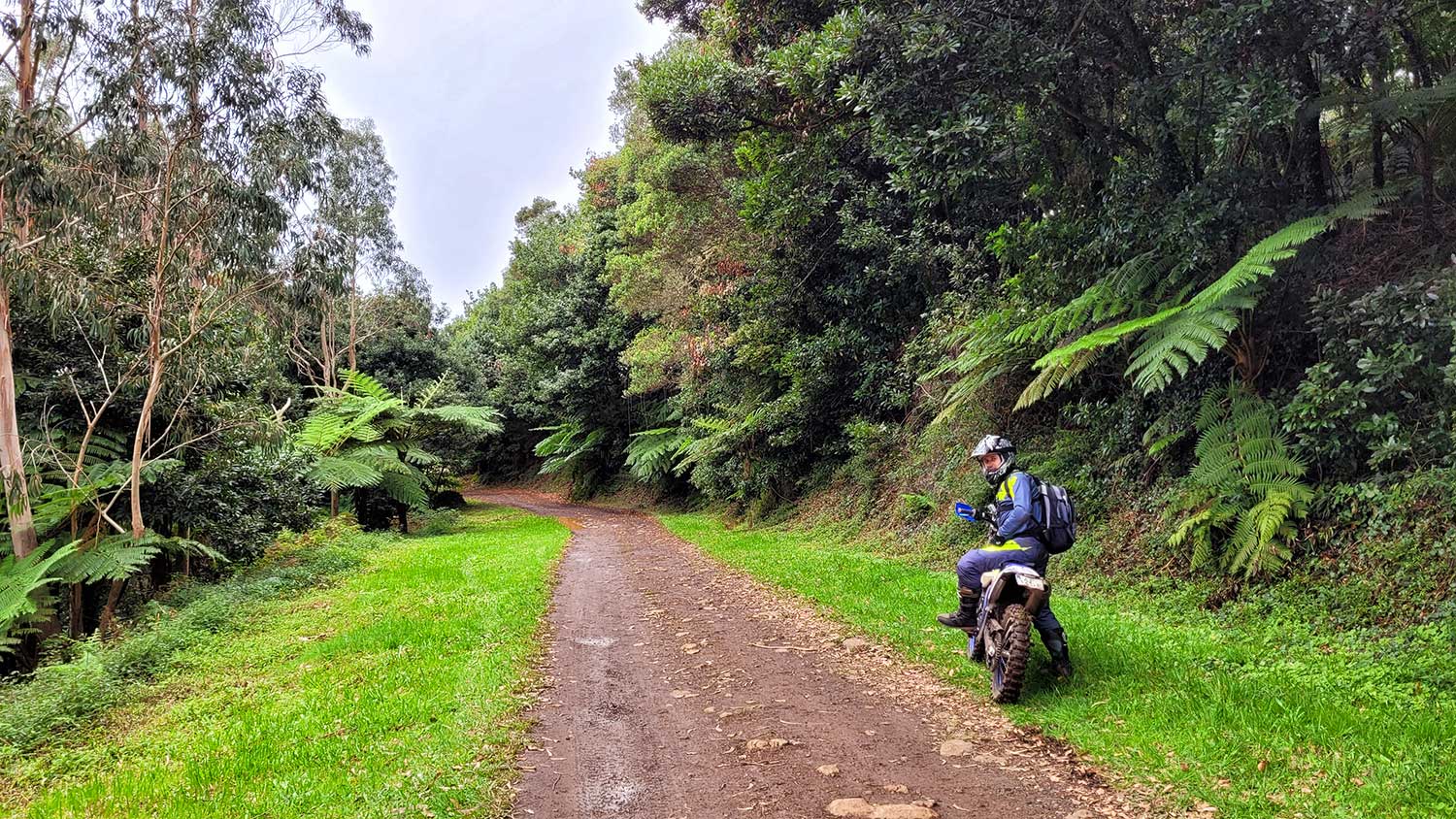 madeira enduro tours